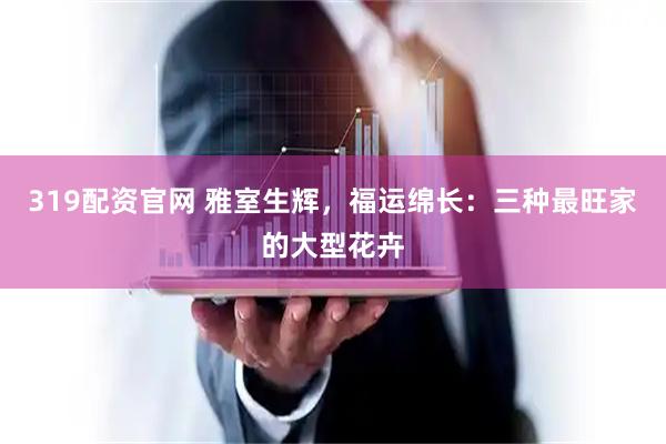 319配资官网 雅室生辉，福运绵长：三种最旺家的大型花卉
