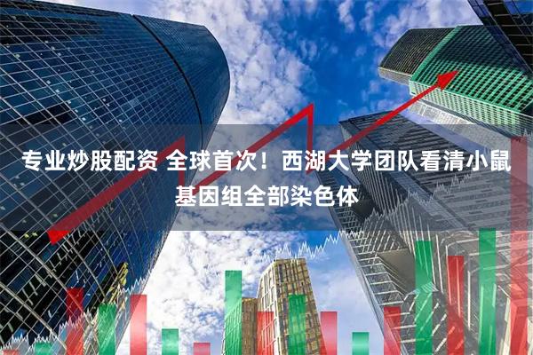 专业炒股配资 全球首次！西湖大学团队看清小鼠基因组全部染色体
