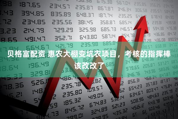 贝格富配资 惠农大棚变坑农项目，考核的指挥棒该改改了